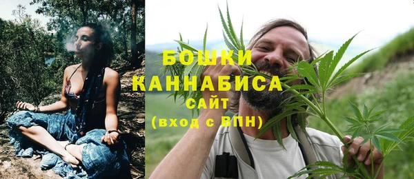 гашик Козловка