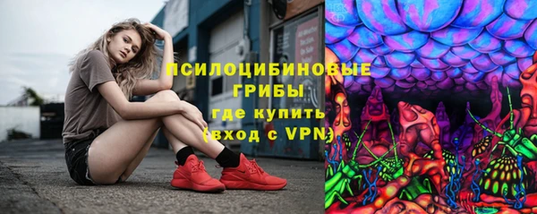 марки nbome Вяземский