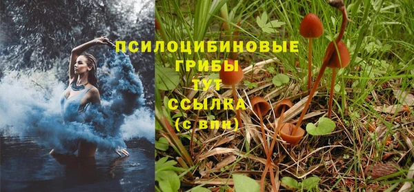 стаф Верхний Тагил