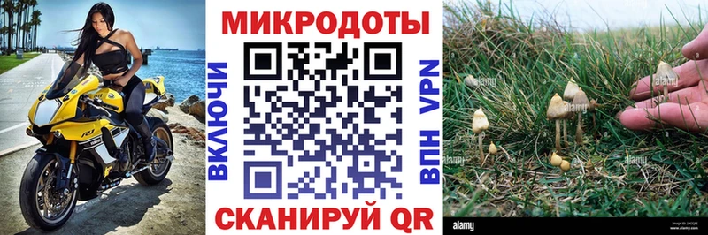 закладки  Донецк  mega маркетплейс  Галлюциногенные грибы Psilocybe 